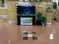 What kind of floors can we do?